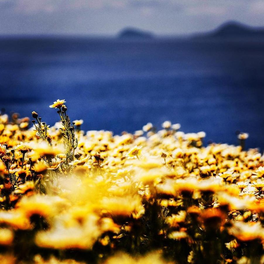 Akrotírion Arcana Santorini Villas, An Authentic Cycladic Experience מראה חיצוני תמונה