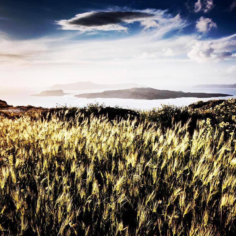 Akrotírion Arcana Santorini Villas, An Authentic Cycladic Experience מראה חיצוני תמונה