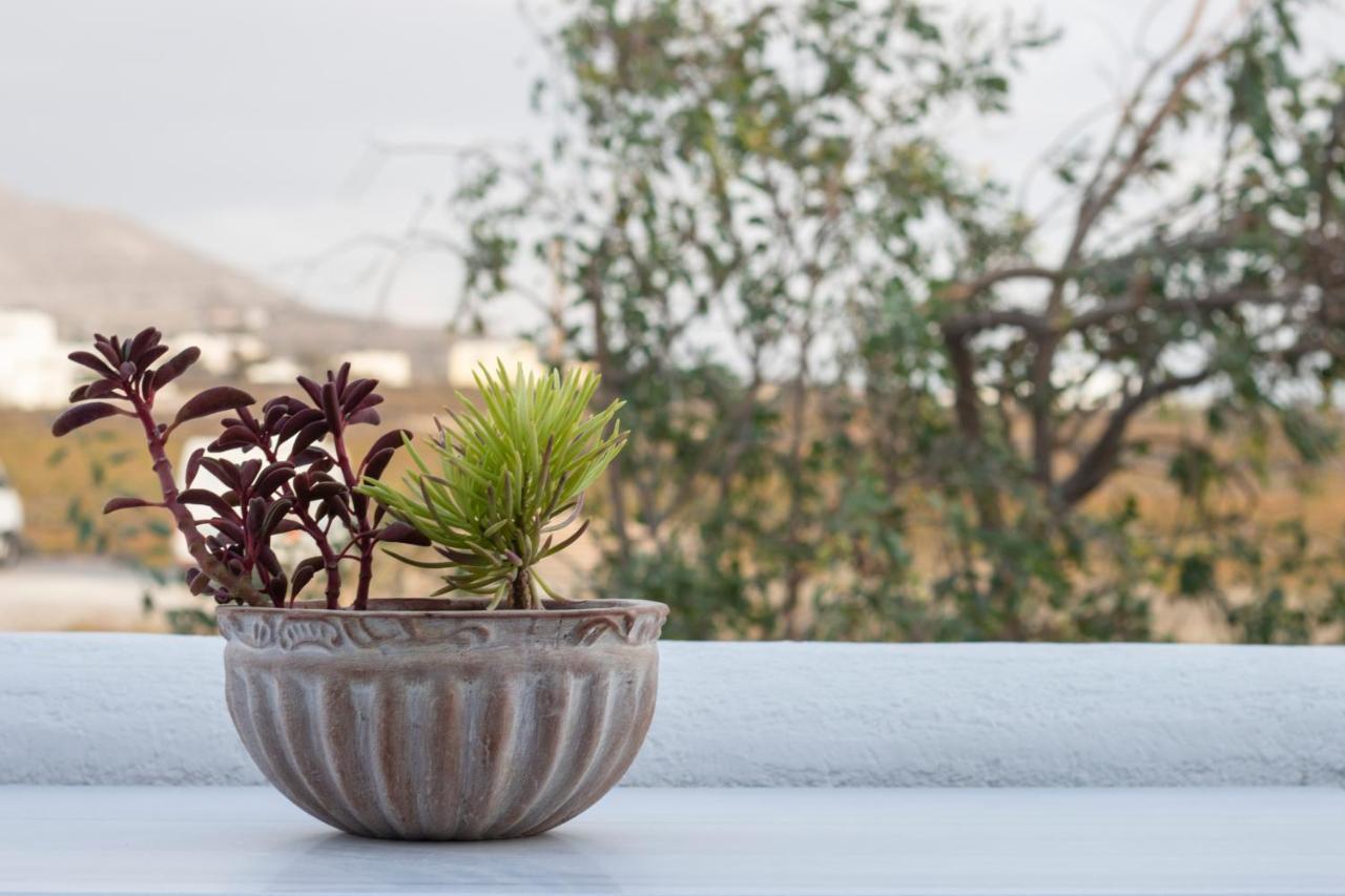 Akrotírion Arcana Santorini Villas, An Authentic Cycladic Experience מראה חיצוני תמונה